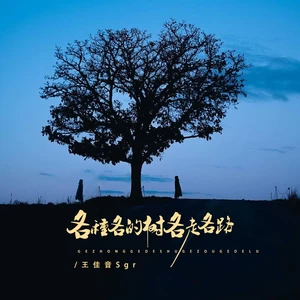 各种各的树 各走各的路(伴奏)