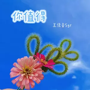 你值得(伴奏)