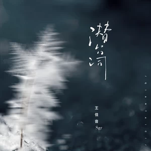 潜台词(伴奏)
