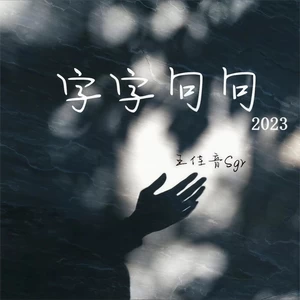 王佳音 - 字字句句2023