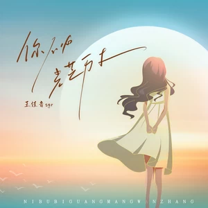 你不必光芒万丈(live合唱版)