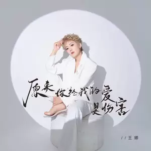 王娜 - 原来你给我的爱是伤害(伴奏)