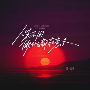 人生不用做什么都有意义(伴奏)