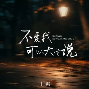 王娜 - 不爱我可以大方说(伴奏)