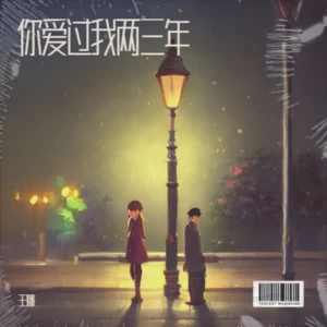 王娜 - 你爱过我两三年(伴奏)