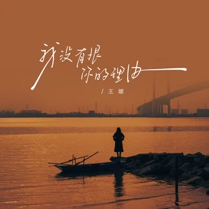王娜 - 我没有恨你的理由(伴奏)