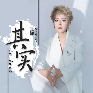 王娜 - 其实(伴奏)