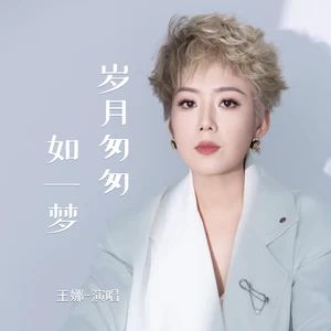 王娜 - 岁月匆匆如一梦(伴奏)