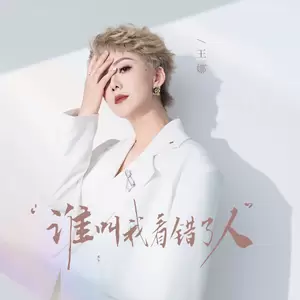 王娜 - 谁叫我看错了人