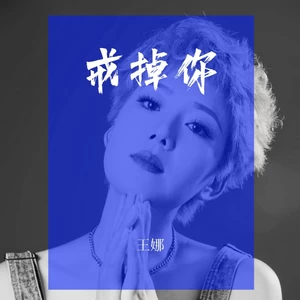 王娜 - 戒掉你(伴奏)