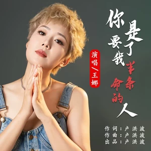 卢洪波/王娜 - 你是要了我半条命的人
