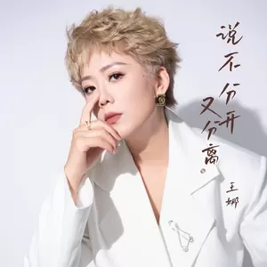 王娜 - 说不分开又离去