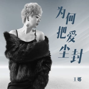 莺莺/王娜 - 为何把爱尘封（女版）