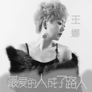 王娜 - 最爱的人成了路人(伴奏)