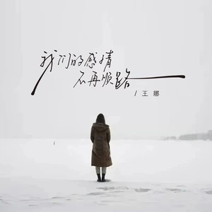 王娜 - 我们的感情不再顺路(伴奏)