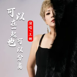 王娜 - 可以在一起也可以分离(伴奏)