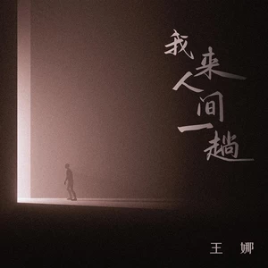 我来人间一趟(伴奏)