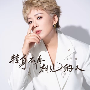 转身不再相见的人(伴奏)