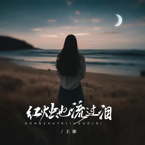 王娜 - 红烛也流过泪(伴奏)
