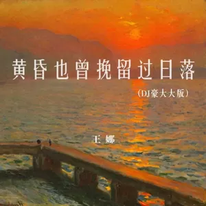 王娜 - 黄昏也曾挽留过日落(DJ豪大大版伴奏)