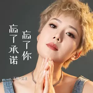 忘了你忘了承诺(伴奏)