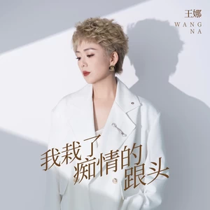 我栽了痴情的跟头(DJ默涵版)