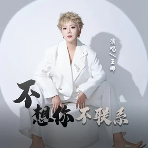 九良/王娜 - 不想你不联系(DJ豪大大版)(伴奏)