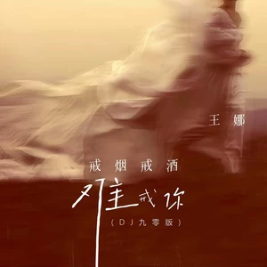 戒烟戒酒难戒你(DJ九零版伴奏)