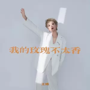 我的玫瑰不太香(DJ 慢摇版)
