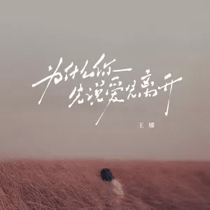 为什么你先说爱先离开(DJ豪大大版)