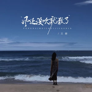 风还没吹就散了（DJBanan版）(伴奏)