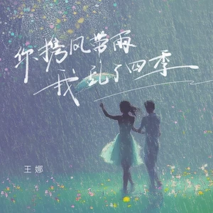你携风带雨我乱了四季(DJ九零版)