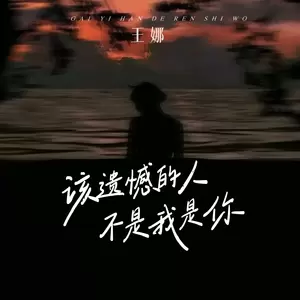 该遗憾的人 不是我是你(伴奏)