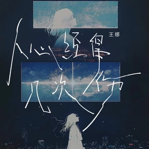 王娜 - 人心经得起几次伤(DJ九零版)
