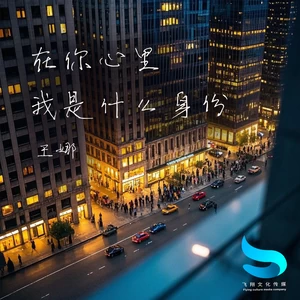 王娜 - 在你心里我是什么身份(DJ默涵版伴奏)
