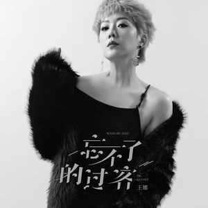 王娜 - 忘不了的过客