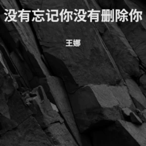 没有忘记你没有删除你(伴奏)