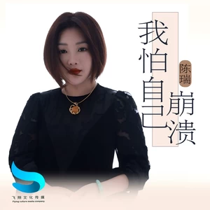 陈瑞 - 我怕自己崩溃
