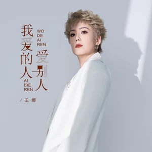 王娜 - 我爱的人爱别人（DJBanan版）