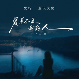 爱着不爱我的人（DJ蓝小龙版）(伴奏)