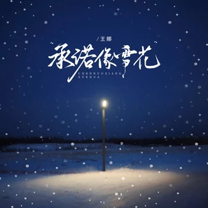 承诺像雪花（DJ京仔版）