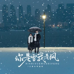 王娜/阿国哥 - 你是雪我是风（DJ京仔国粤对唱版）