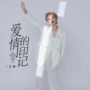 王娜 - 爱情的印记(伴奏)