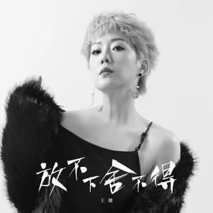 王娜 - 放不下舍不得(伴奏)