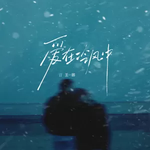 王娜 - 爱在冷风中