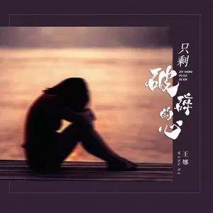 王娜 - 只剩破碎的心
