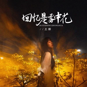 回忆是雾中花（DJBanan版）