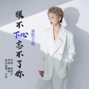 九良/王娜 - 狠不下心忘不了你(伴奏)