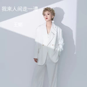 王娜 - 我来人间走一遭
