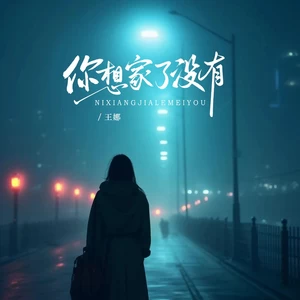 你想家了没有（DJ京仔版）